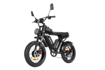 Dual Motor E-bike 2000W 52V 40Ah Fat Tire E-bike