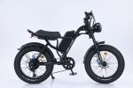 EMB009 New Design 750W Mountain Electric Bicycle Out Door With Fat Tire 20''Ebike