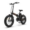 New Pattern Electric Bike Fat Tire With Removable Lithium Battery for Adults